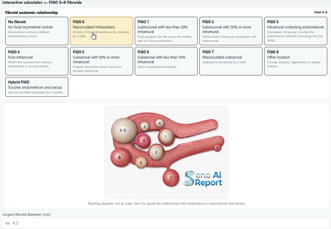 Liver classification screen capture
