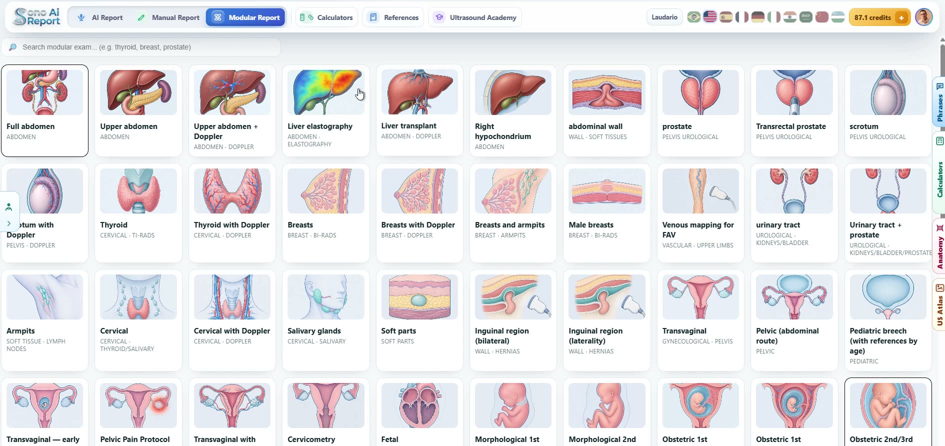 Modular lipedema report screen capture